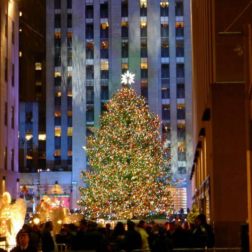 USA_2011-11-30 21-03-10